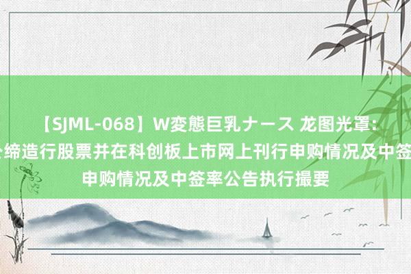 【SJML-068】W変態巨乳ナース 龙图光罩: 龙图光罩初度公缔造行股票并在科创板上市网上刊行申购情况及中签率公告执行撮要