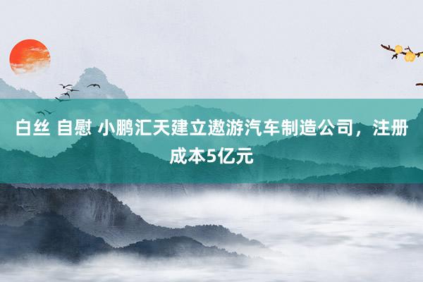 白丝 自慰 小鹏汇天建立遨游汽车制造公司，注册成本5亿元