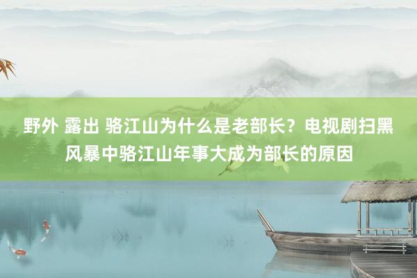 野外 露出 骆江山为什么是老部长？电视剧扫黑风暴中骆江山年事大成为部长的原因