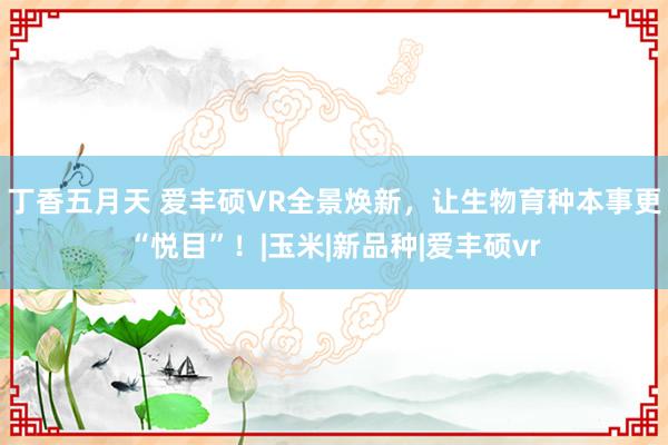 丁香五月天 爱丰硕VR全景焕新，让生物育种本事更“悦目”！|玉米|新品种|爱丰硕vr