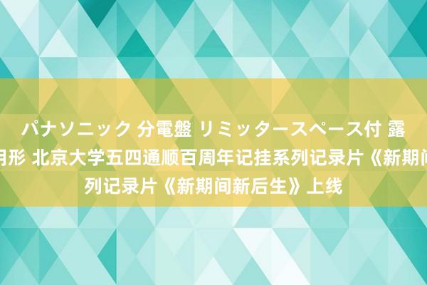 パナソニック 分電盤 リミッタースペース付 露出・半埋込両用